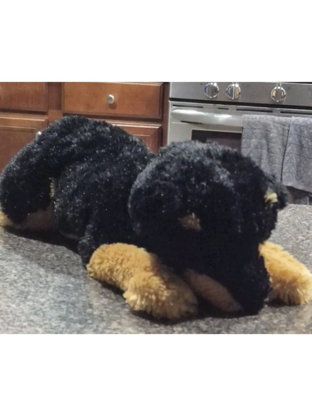 Harley Davidson Rottweiler Plush Studfed Animal Toy Dog 18
